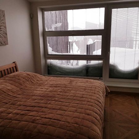 G.Apartment'S Klinovec Loučná pod Klínovcem 外观 照片