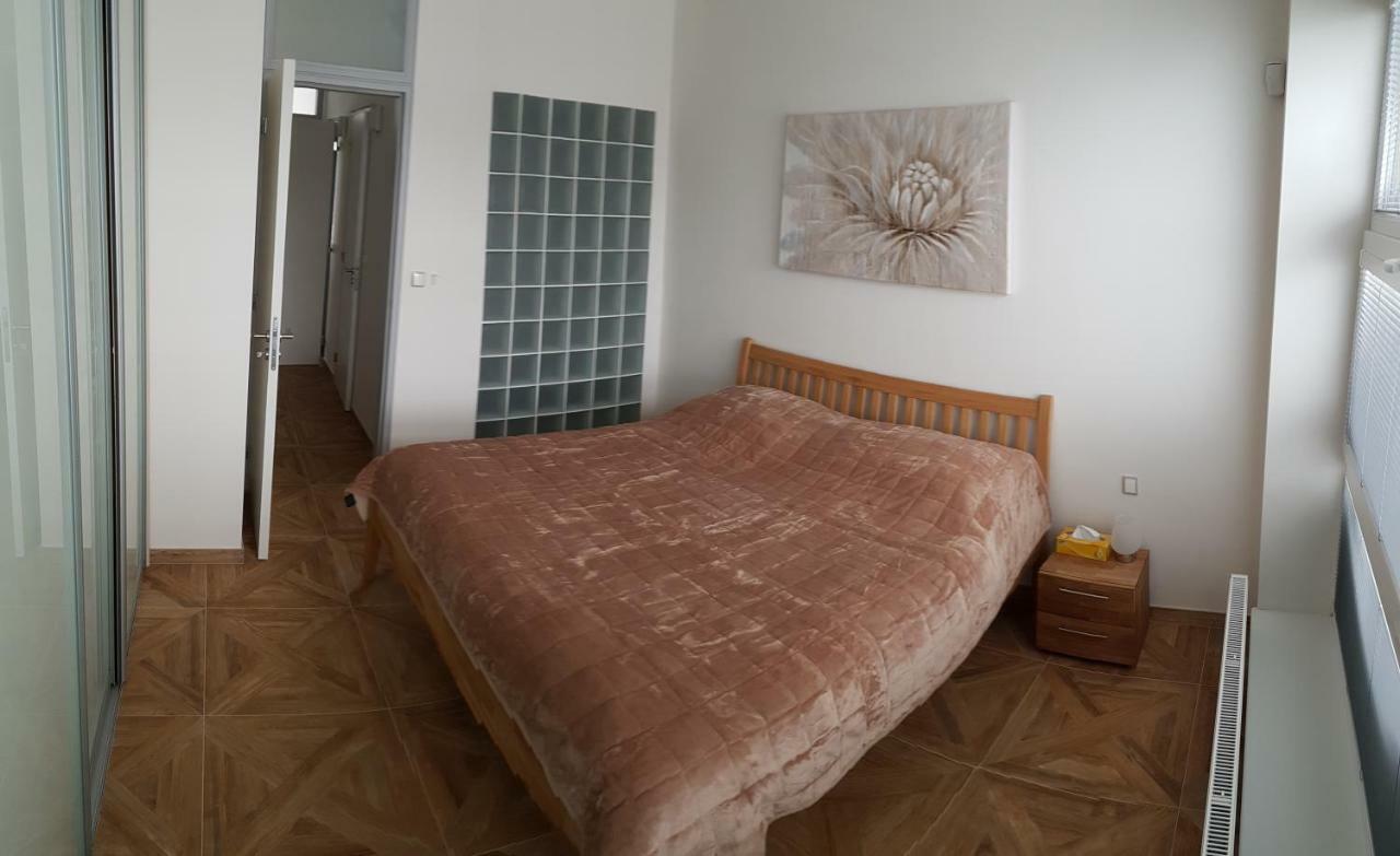 G.Apartment'S Klinovec Loučná pod Klínovcem 外观 照片
